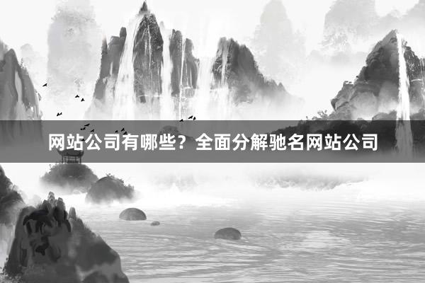 网站公司有哪些？全面分解驰名网站公司