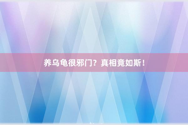 养乌龟很邪门？真相竟如斯！